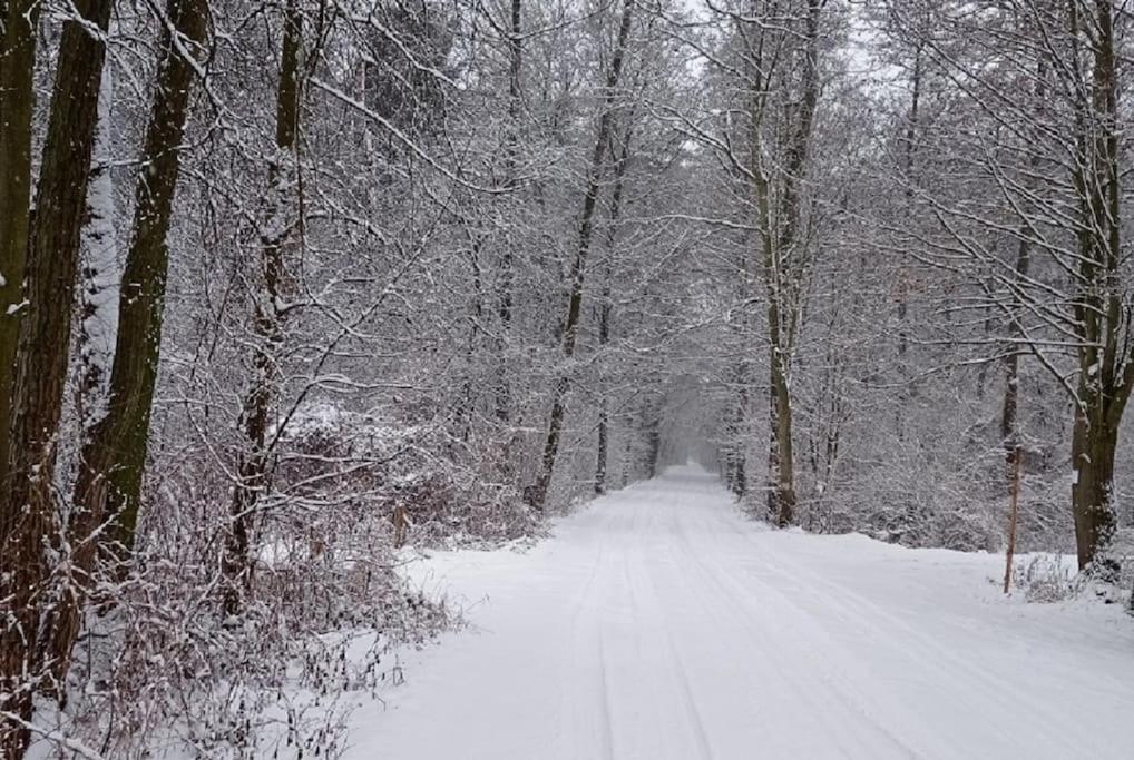 Basiowka Nad Jeziorem Boszkowo Bagian luar foto